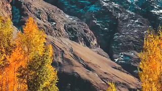 The Autumn Season ????