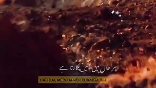 Beautiful message of Quran ❤