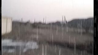 Morning rain. #5