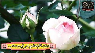 Recitation of the Holy Quran by Sheikh Qari Amir Ali Rand Sahib