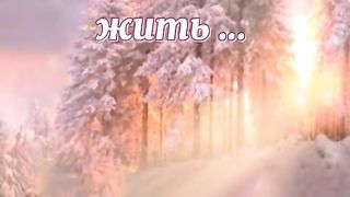 Жизнь