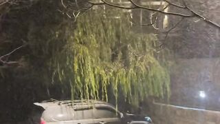 Live Snow Fall