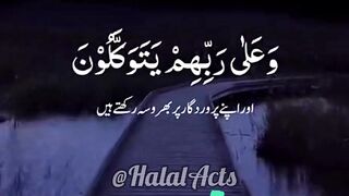 Khubsoorat Tulawat-Quran pak | Halalacts