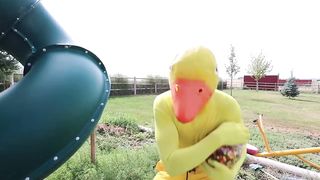 Ducky Surprised wolf