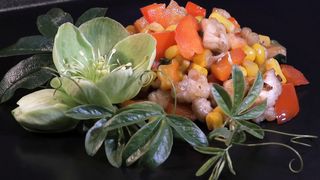 Chicken sweat corn recipe
