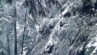 Snow Fall With driving