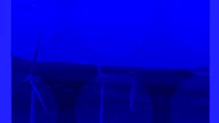CHEMIST DOGS: #shorts #video #i.h entertainment