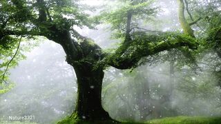Relaxing in winter with Nature