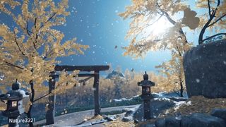Relaxing in winter with Nature