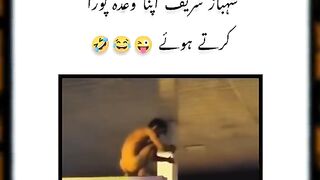 Funny video