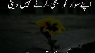 quotes channel||