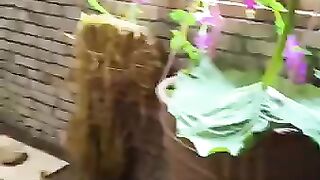 Funny cat