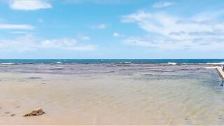 North Narrabeen Rockpool