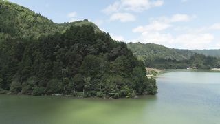Lake Furnas Lake Island Trees Forest Crater