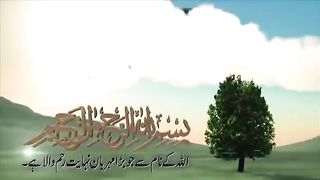 Surah Rehman (Beauty of Quran Pak )