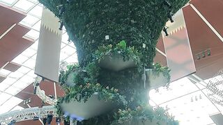 The QATAR Mall