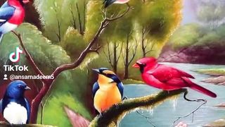 Stetus song