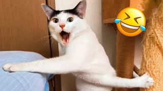 Hilarious Dads - Funny Daddy and Babies Moments