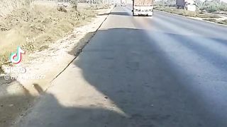 Best funny video