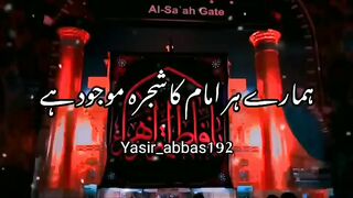 12 Imama.. Mausumeen Shajra wa nasab