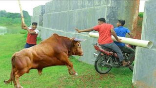 Must Watch New Funny Video 2021 Top New Comedy Video 2023 Try To Not Laugh