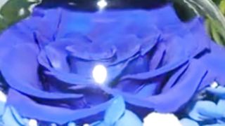 Preserved Real Roses with Colorful Mood Light Wishing Bottle