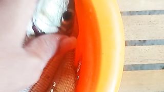 Hasil Mancing