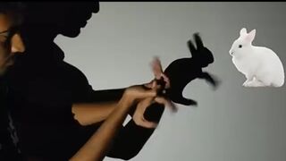 Hand shadow puppets