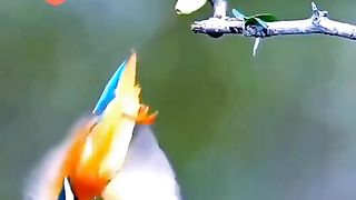 Mind blowing ভিডিঅ