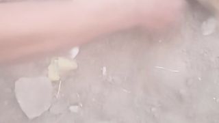 Bacho ky kam