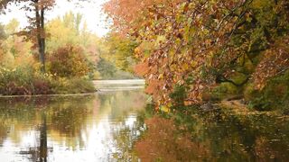 15 Minutes Relaxing Music