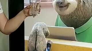 Funny_Moments_????