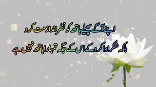 Life changing aqwal e zareen