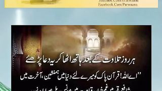 Waleden k ly dua ka fida