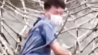 funny videos of the year #4
