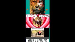 LOVELY SONGS