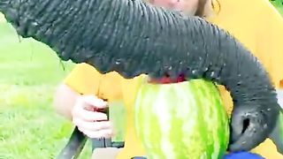 Funny comedy videos ????