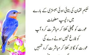 Hambistri ka tariqa