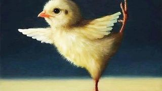 Yoga chickies  ????????