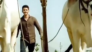 Success is not a destination, success is a journey. ????????‍????.Mahesh Babu best attitude video.