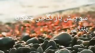 نظر اٹھائیں تو کیا کیا فسانہ بنتا ہے