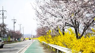 Beautiful place