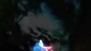 WhatsApp status