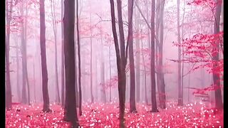 Beautiful places