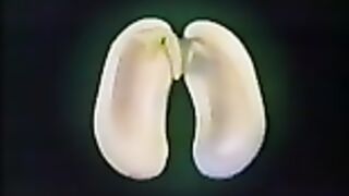 biologiya