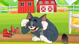 Tom and Jerry cartoons