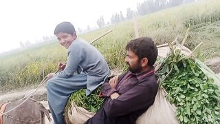 #Fun time*