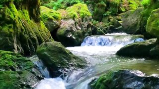 Water Sound Reflexing Music