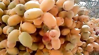 xurmo