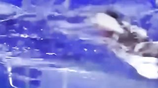 Funny video#funny #funnyvideo #fun #fyp #fypシ #funnyvideos #fail #fails #failarmy #foryou